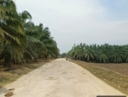 Warga Minta Jalan Menuju arah Kepematang jaya Segera diaspal Oleh Pemerintah Kabupaten Langkat LANGKAT