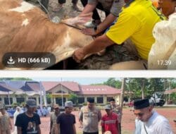 Kapolres Langkat Pimpin Penyembelihan Hewan Qurban, Wujud Kepedulian Polri kepada Masyarakat