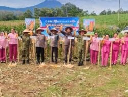 Wakil Bupati Karo Hadiri Panen Raya Jagung Serentak Dukung Swasembada Pangan Tahun 2026