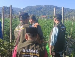 BAZNAS Sumut dan BAZNAS Karo Perkuat Ketahanan Pangan Lewat Program Pertanian Hortikultura