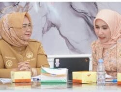 Bupati Tiorita Percepat Penguatan Sektor Energi Demi Dongkrak PAD Langkat