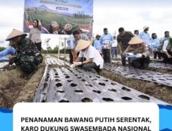 Penanaman Bawang Putih Serentak, Karo Dukung Swasembada Nasional